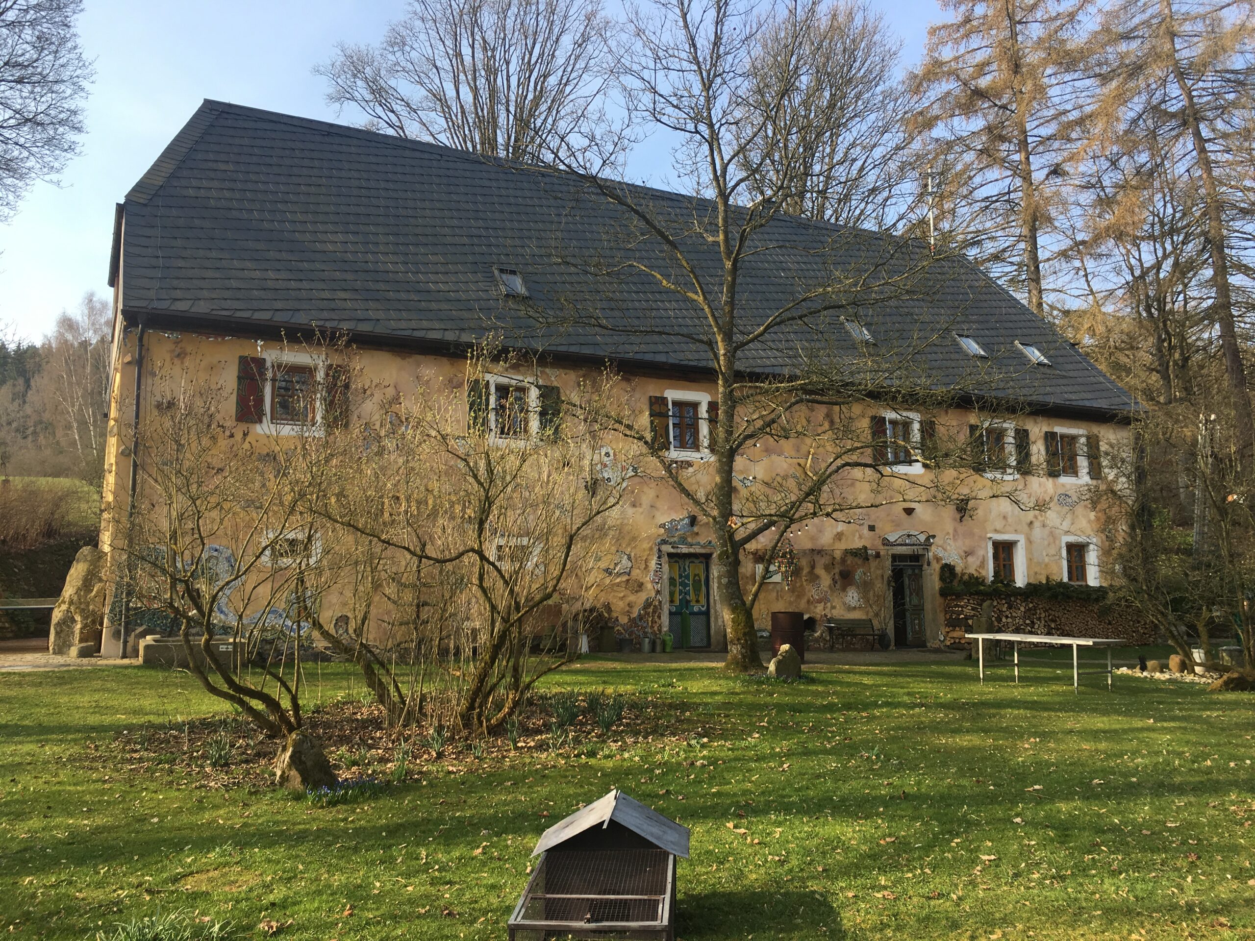 My First Workaway Experience: Donkeys, Gardens, and Lumberjacks.